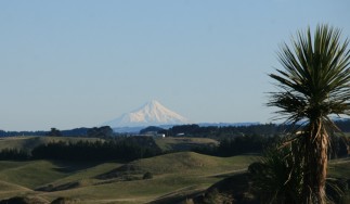 Beautiful Mt Taranaki is visible from the Rangitikei on a clear day