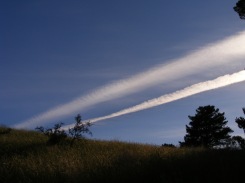 Waikari Skies, image courtesy of Marian Sutherland