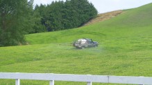 Roundup use is widespread in NZ