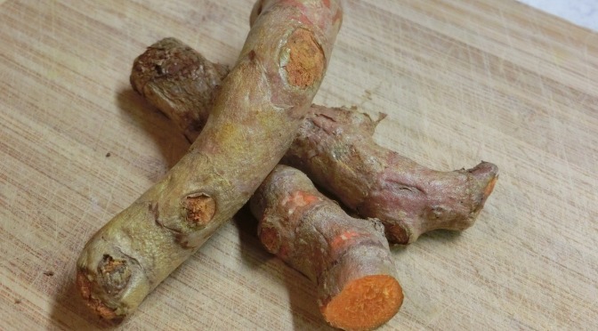Grow a Superfood in Your Own Backyard: Turmeric