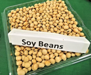 soy-beans-968986_1920