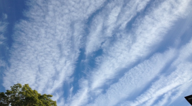 Geoengineering trails observed over Bulls, Marton area in the Rangitikei District NZ – evidence of ongoing weather modification