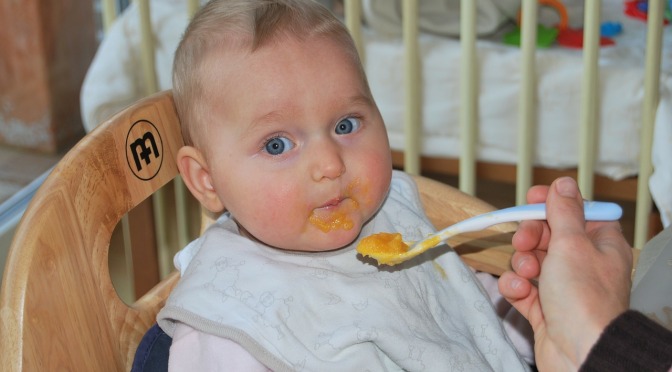 PESTICIDES TO STAY IN NZ BABY FOOD – OURS HAS 533% MORE THAN THE EU DOES!
