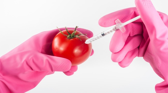 F. William Engdahl shatters biotech myths by demonstrating the health hazards of GMO