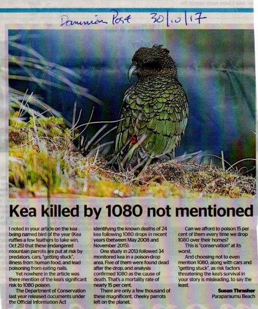 Copy of kea article