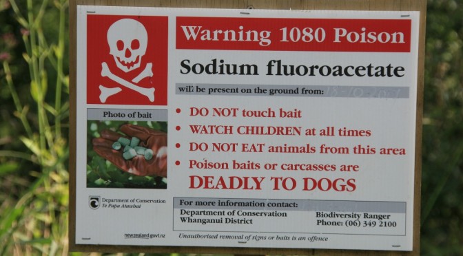 Some very unpleasant home truths from a Kiwi Ex-1080 poison worker