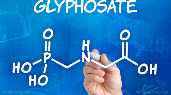 COVER-UP: Scientists who find glyphosate herbicide in common foods are silenced or reassigned