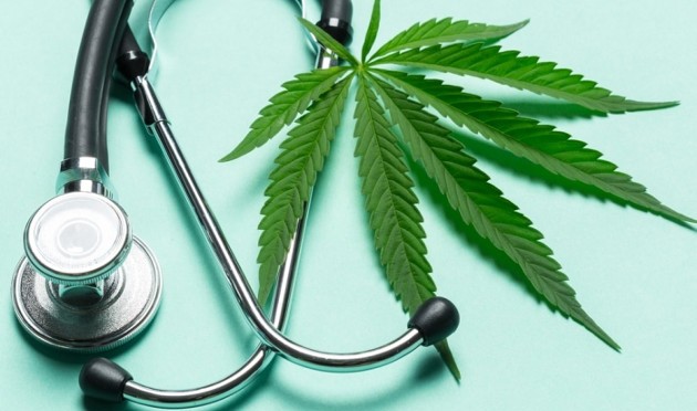 The Endocannabinoid System and the Important Role It Plays in Human Health