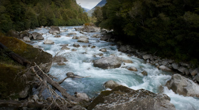 In 2016 a former DOC ranger expressed concerned with 1080 getting into Taranaki’s waterways