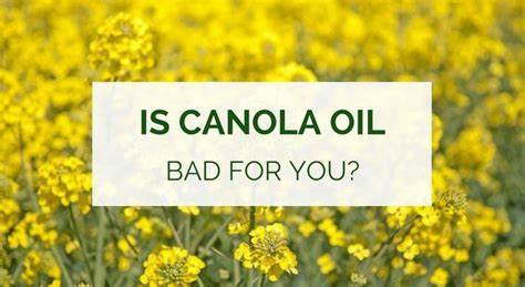 FOOD FRAUD: ‘Canola Oil’, Alzheimer’s, Depression, Low IQ, & Cancer – By Meadow Clark