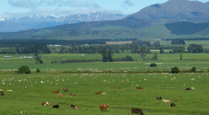 Why would the NZ Govt make a law for farmers that they are unable to comply with?