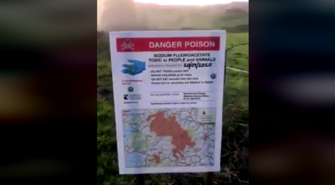 It’s reported there’s been no consultation for an aerial 1080 poison operation over Mt Pirongia, contravening NZ’s Treaty of Waitangi Act