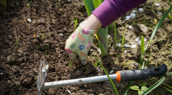 a hand in the soil using gardening tools