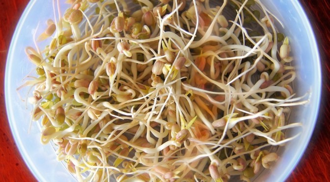 How to Grow Sprouts: The Ultimate, Home-Grown, Nutrient-Packed Food