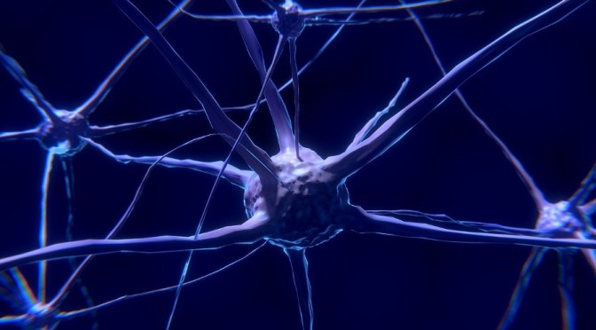Declaring Chemical Warfare On The Brain: Alzheimer’s Drugs Are Neurotoxicants