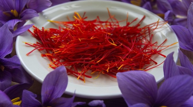 Saffron Protects Against Macular Degeneration