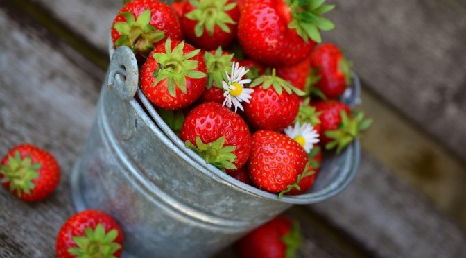 bucket of strawberries