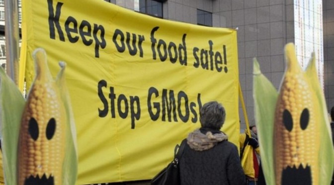 EU Commission’s Secret Policy Scenarios Show Full GMO Deregulation on the Cards