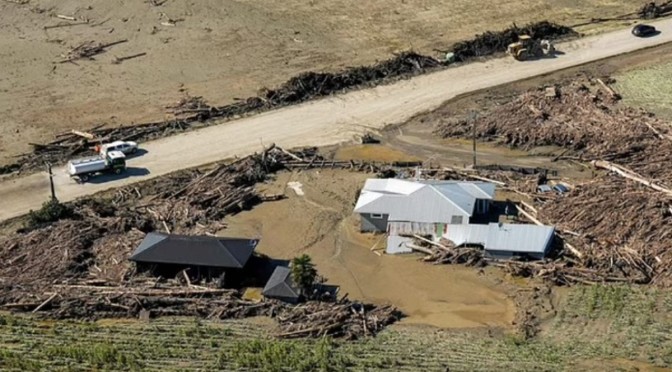 The truth on the flooding aftermath in NZ: eyewitnesses report hundreds of bodies